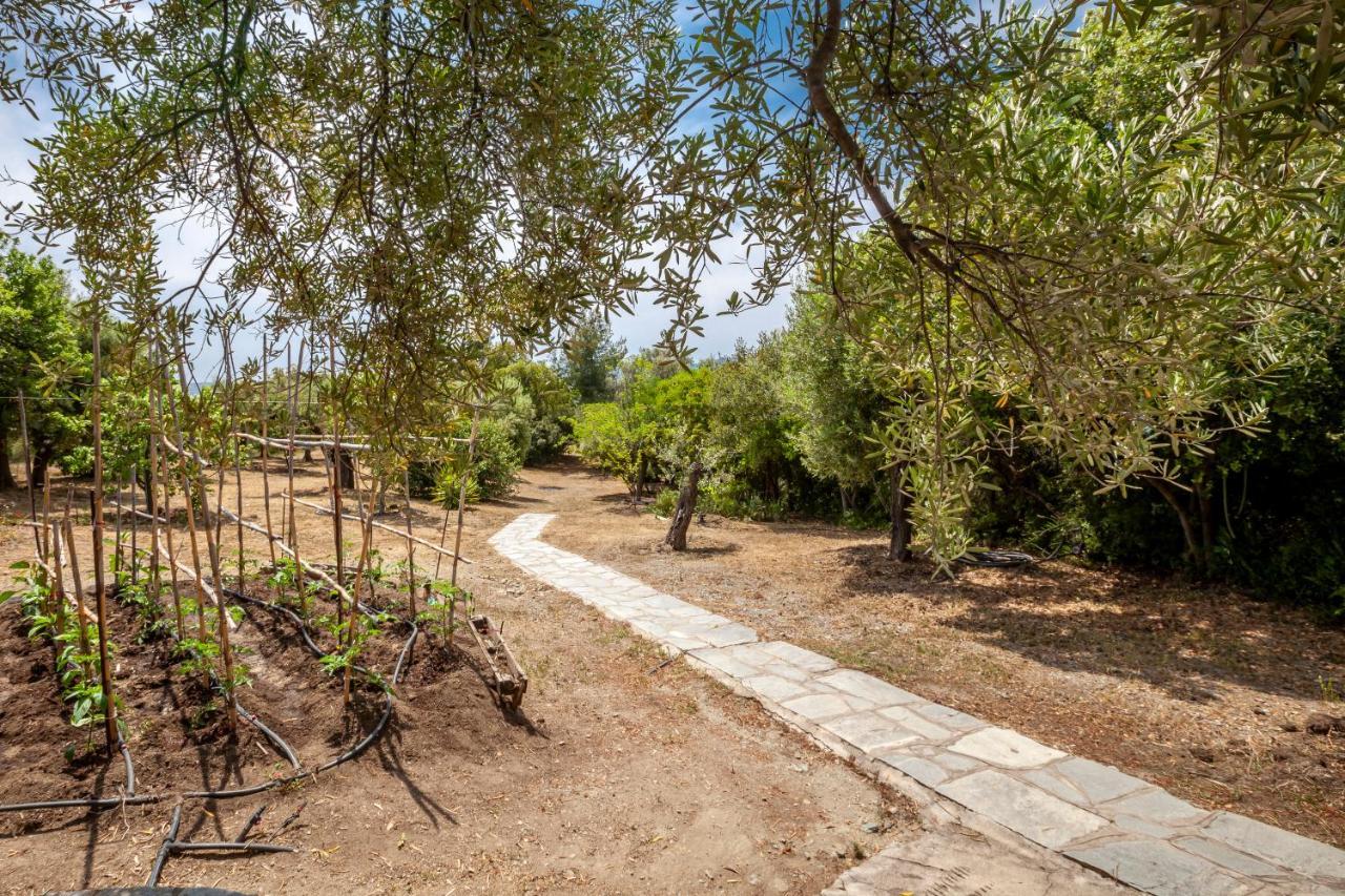 Вилла Hidden Gem Sithonia Metochi Agias Kiriakis Экстерьер фото