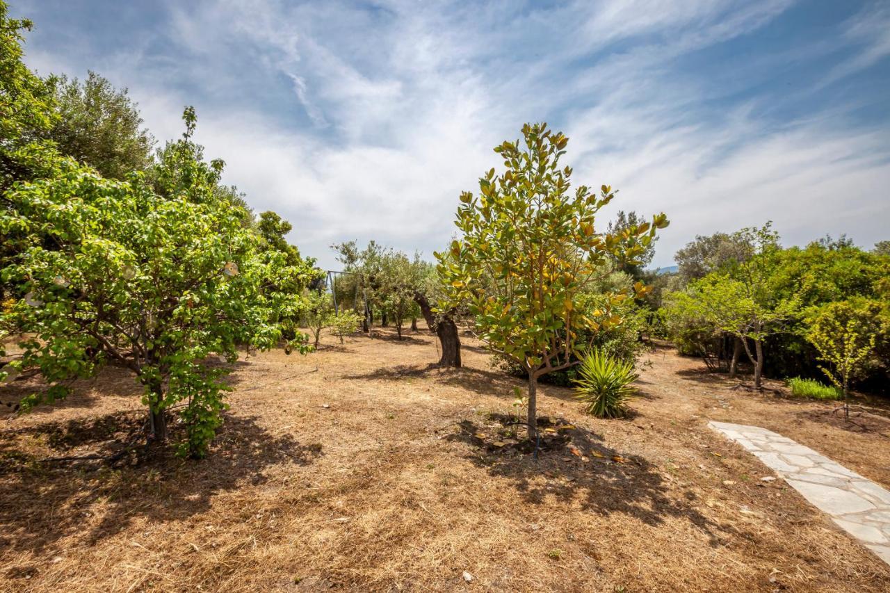 Вилла Hidden Gem Sithonia Metochi Agias Kiriakis Экстерьер фото